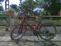 Winora Samoa Crossrad